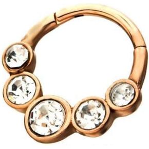Pierced Owl - 16GA Ascending Order Five Rounded Clear CZ Gems 316L Surgical Stainless Steel Seamless Septum Cartilage Helix Daith Hinged Segment Clicker Ring