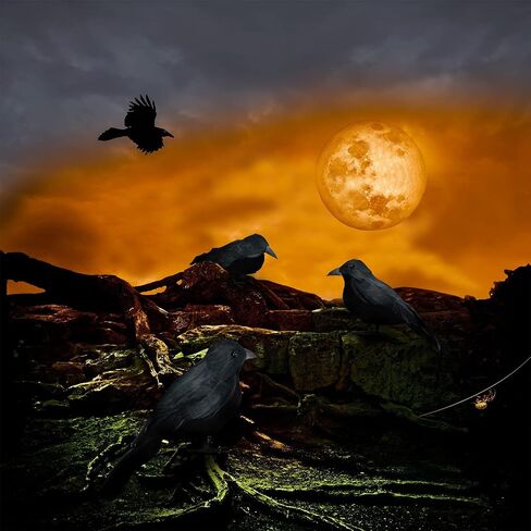 Jetec 8 Pieces Halloween Black Feathered Crows Realistic Halloween Decorations Handmade Stand Crows Black Birds with 20 Pieces 6 Inch Wire Tie for Halloween Party Outdoor Indoor Decor in Saudi Arabia