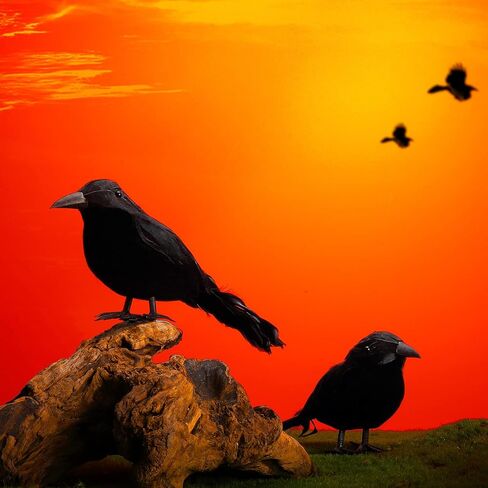 Jetec 8 Pieces Halloween Black Feathered Crows Realistic Halloween Decorations Handmade Stand Crows Black Birds with 20 Pieces 6 Inch Wire Tie for Halloween Party Outdoor Indoor Decor in Saudi Arabia