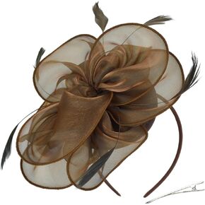 Fascinators Hat for Women Tea Party Mesh Flower Feather Kentucky Derby Hats with Headband and Clip for Girls and Women 1 Pc