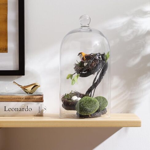 KMwares Clear Glass Display Dome Cloche Bell Jar Tabletop Decorative Case Covered Plants/Food (Medium) in Kuwait
