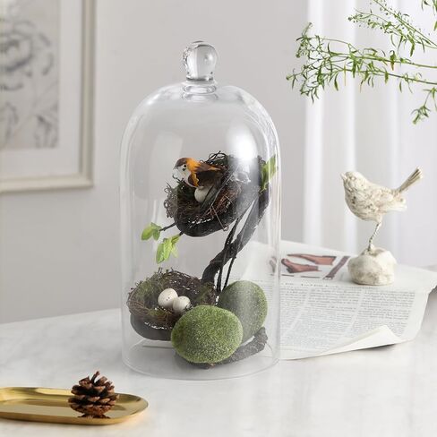 KMwares Clear Glass Display Dome Cloche Bell Jar Tabletop Decorative Case Covered Plants/Food (Medium) in Kuwait
