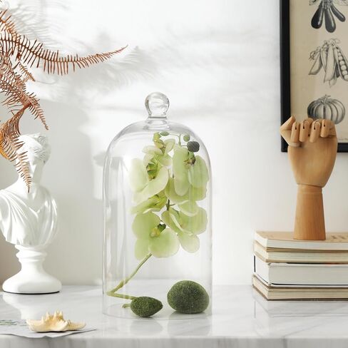 KMwares Clear Glass Display Dome Cloche Bell Jar Tabletop Decorative Case Covered Plants/Food (Medium) in Kuwait