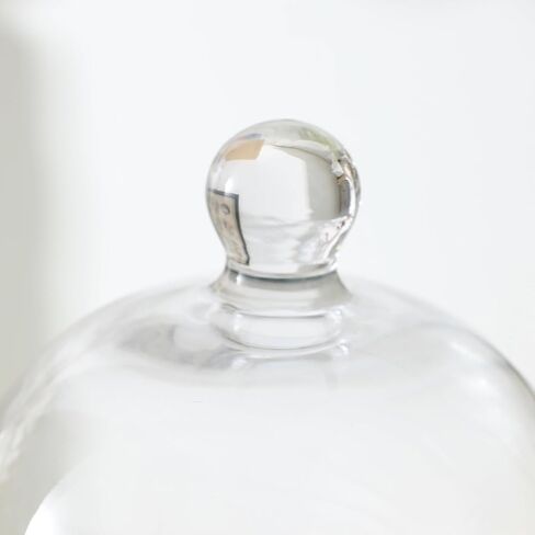 KMwares Clear Glass Display Dome Cloche Bell Jar Tabletop Decorative Case Covered Plants/Food (Medium) in Kuwait