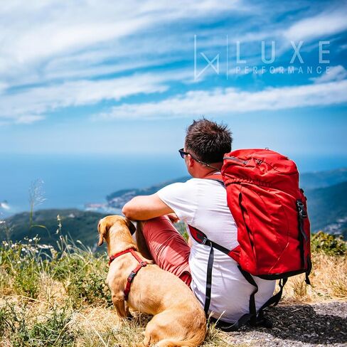 عوامات Luxe Performance - حزام نظارات شمسية عائم ممتاز وقابل للتعديل ومثبت لملابس العين in Kuwait