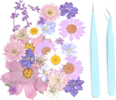 28PCS Dry Embossing and 2 Exquisite Tweezers, Real Natural Petals. Used for DIY Resin Candle Soap Jewelry Nail Crafts, Mobile Phone Shell Scrapbook Making, Photo Frame DIY(Purple) in Saudi Arabia
