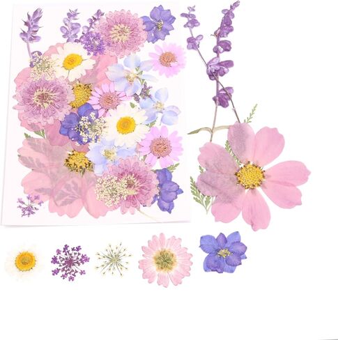28PCS Dry Embossing and 2 Exquisite Tweezers, Real Natural Petals. Used for DIY Resin Candle Soap Jewelry Nail Crafts, Mobile Phone Shell Scrapbook Making, Photo Frame DIY(Purple) in Saudi Arabia