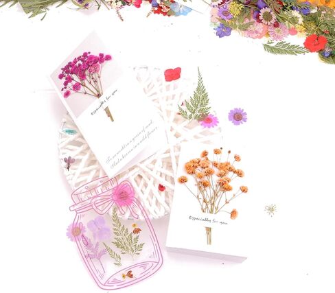 28PCS Dry Embossing and 2 Exquisite Tweezers, Real Natural Petals. Used for DIY Resin Candle Soap Jewelry Nail Crafts, Mobile Phone Shell Scrapbook Making, Photo Frame DIY(Purple) in Saudi Arabia