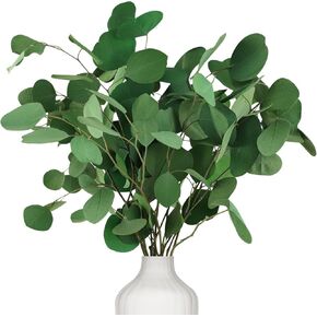Preserved Dried Eucalyptus Stems, 7-10 Pcs Pure Natural Real Silver Dollar Leaves for Vase Filler, 15-17'' Fresh Eucalyptus Plant Branches for Wedding Home Greenery Décor (3.6oz)