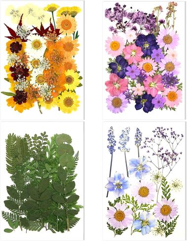 106 Pieces Assorted Real Dried Pressed Flowers Combination Real Dried Pressed Leaves Natural Dry Flowers Leaves for Resin Mold, Pressed Leaf Art, Embellishment Decorations(Pink,Purple,Yellow,Green) in Saudi Arabia