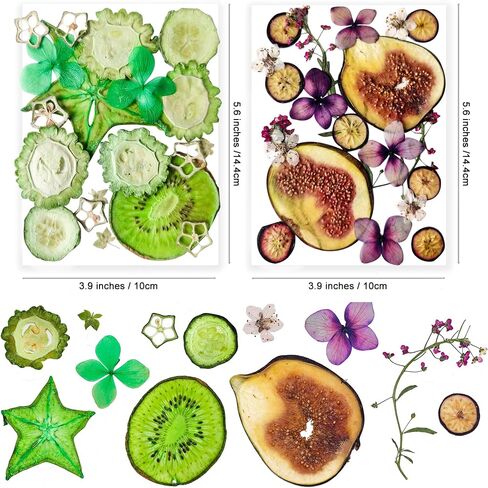 96PCS Vintage White Dried Pressed Flowers for Resin Craft - YouthBro Real Nature Flowers Set with 50 PCS Butterfly Stickers for DIY Scrapbook Art Floral Decors in Saudi Arabia