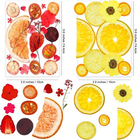 96PCS Vintage White Dried Pressed Flowers for Resin Craft - YouthBro Real Nature Flowers Set with 50 PCS Butterfly Stickers for DIY Scrapbook Art Floral Decors in Saudi Arabia