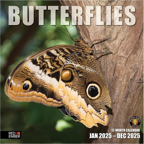 RED EMBER Butterflies 2025 Hangable Monthly Wall Calendar | 12" x 24" Open | Thick & Sturdy Paper | Giftable | Beautiful Garden Nature in Kuwait