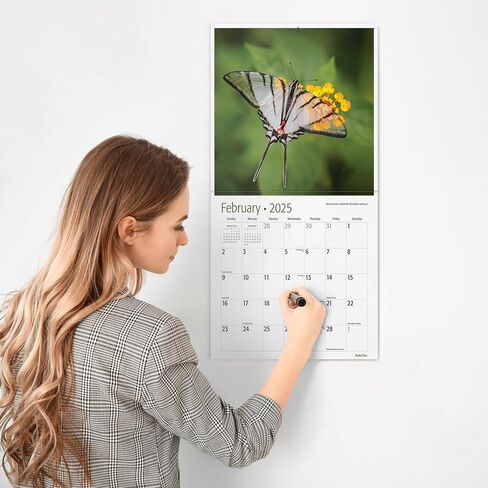 RED EMBER Butterflies 2025 Hangable Monthly Wall Calendar | 12" x 24" Open | Thick & Sturdy Paper | Giftable | Beautiful Garden Nature in Kuwait