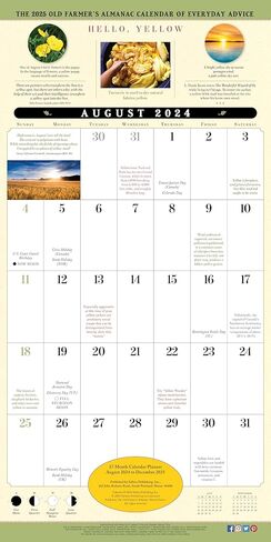 Great Big Grid 2025 Wall Planner, 17-Months Calendar Planner: August 2024 - December 2025, 12" x 12" in Saudi Arabia