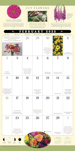 Great Big Grid 2025 Wall Planner, 17-Months Calendar Planner: August 2024 - December 2025, 12" x 12" in Saudi Arabia