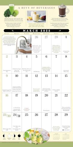 Great Big Grid 2025 Wall Planner, 17-Months Calendar Planner: August 2024 - December 2025, 12" x 12" in Saudi Arabia