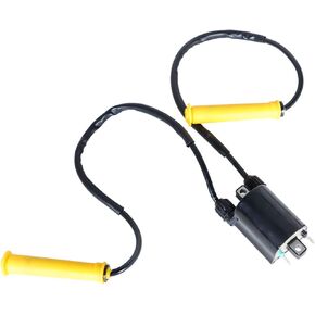 WFLNHB Ignition Coil and Wire Cap Replacement for Honda VTX1300 2004 2005 2006 2007 2008 2009 2009 30510-MM8-003 30510-MCC-003