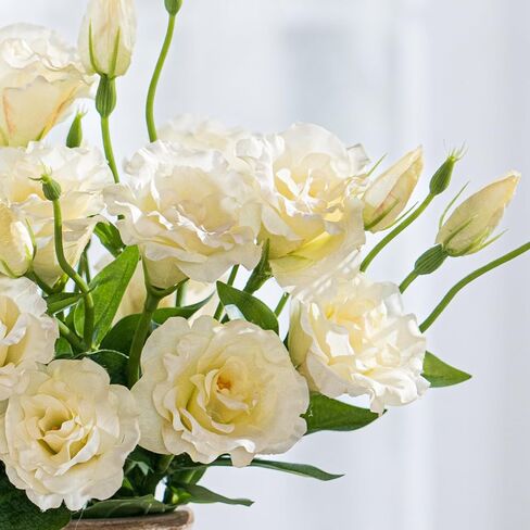 10PCS Lifelike Silk Flowers Artificial Flowers Indoor Fake Lisianthus Flower Table Centerpiece Faux Flowers Fake Eustoma Flower Long Stem Faux Flowers for Wedding Home Decor in Saudi Arabia