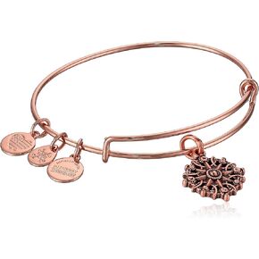 Alex and Ani Path of Symbols Expandable Bangle for Women, Compass Charm, Rafaelian Finish, 2 to 3.5 in