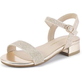 Hehainom Girls Dress Shoes Sandals Open Toe Flower Girl Wedding Party School for Little Big Kids Chunky Low Heels Shoes