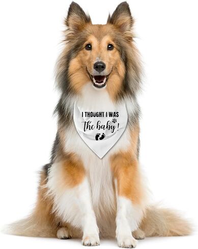 باندانا بعبارة I Thought I was The Baby Dog، باندانا للكلاب، اكسسوارات وشاح للكلاب، وشاح مثلث للكلاب، باندانا للكلاب الصغيرة والمتوسطة والكبيرة، باندانا للكلاب الصغيرة والمتوسطة والكبيرة، باندانا in Kuwait