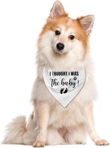باندانا بعبارة I Thought I was The Baby Dog، باندانا للكلاب، اكسسوارات وشاح للكلاب، وشاح مثلث للكلاب، باندانا للكلاب الصغيرة والمتوسطة والكبيرة، باندانا للكلاب الصغيرة والمتوسطة والكبيرة، باندانا in Kuwait