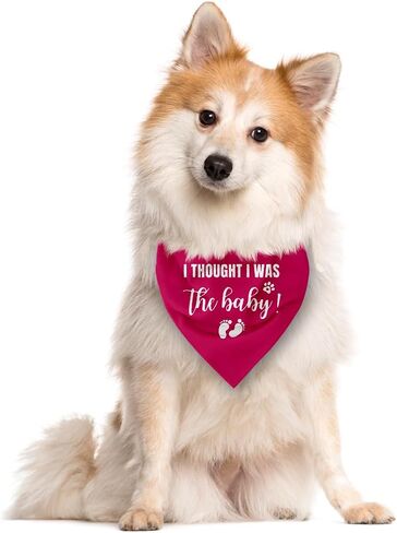 باندانا بعبارة I Thought I was The Baby Dog، باندانا للكلاب، اكسسوارات وشاح للكلاب، وشاح مثلث للكلاب، باندانا للكلاب الصغيرة والمتوسطة والكبيرة، باندانا للكلاب الصغيرة والمتوسطة والكبيرة، باندانا in Kuwait