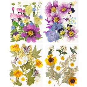 Dried Pressed Flowers, 81 Pcs Bulk Dried Flowers Dry Leaves for DIY Art Crafts, Epoxy Resin Jewelry Molds, Candle, Soap Making, Nails Décor, Gifts