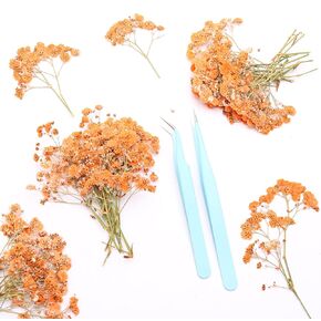 Orange 70 Pcs Mini Babies Breath Pressed Flower for Resin Art / Invitations Card Decor/Bookmark Jewelry DIY Craft, Real Dried Pressed Baby Breath Flowers Bulk with 2 Tweezers.