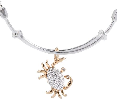 Alex and Ani Anchor Decorative EWB in Saudi Arabia