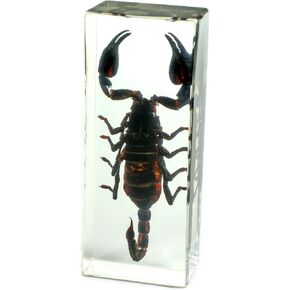 REALBUG Black Scorpion Paperweight (4.4x1.6x1.1)