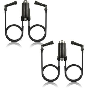 2 Pcs Ignition Coil For Honda CB650 CB750 1979-1982 CB900 1980-1982 CB1000 1983 Goldwing 1100 1980-1983 Goldwing 1200 1984-1987 Nighthawk 650 1982 Nighthawk 750 1982-1983 30500-422-003 30500-422-013