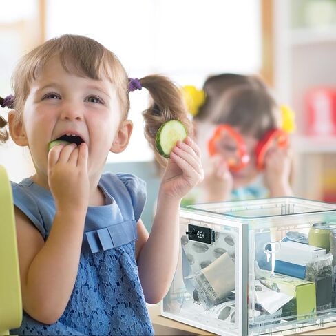 Lockable Large Medicine Storage Box for Safe Medication Refrigerator Lockable Food Storage Clear Lockable Storage Bin for Medicine, Snack Food and Home Safety in Kuwait
