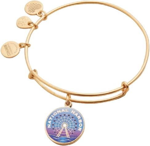 Alex and Ani A19EBNHRG، سوار بإسورة قابلة للتوسيع من National Harbour منقوش عليه طباعة منقوشة، ذهبي رافائيلي، أزرق/أرجواني، أساور in Saudi Arabia