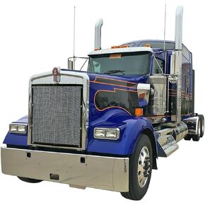 Premium Mesh Bug Screen for Kenworth W900L(W900L Bug Screen Only Black)
