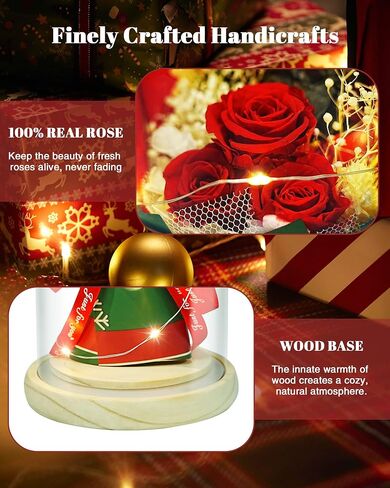 Preserved Flowers Present for Women,Preserved Real Rose Bouquet in Glass with LED Light,Eternal Roses for Her,Mom,Wife,Grandma as Anniversary,Birthdays,Valentine's Day,Christmas,Mother's Day in Saudi Arabia