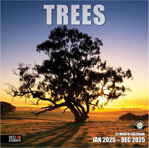 RED EMBER Trees Hangable Monthly 2025 Wall Calendar | 12" x 24" When Open | Thick & Sturdy Paper | Giftable | Beautiful Pathways Nature in Saudi Arabia