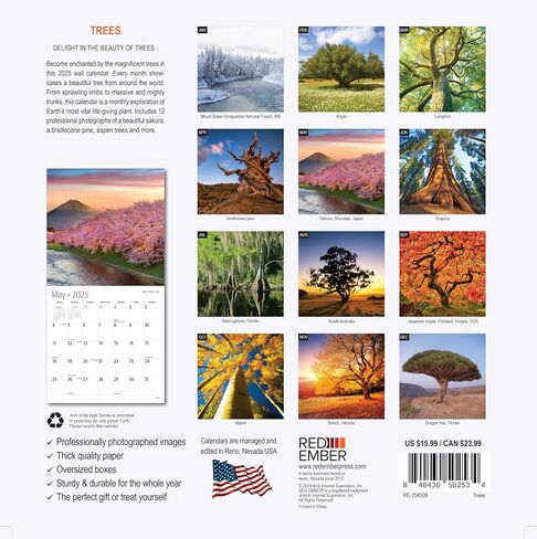 RED EMBER Trees Hangable Monthly 2025 Wall Calendar | 12" x 24" When Open | Thick & Sturdy Paper | Giftable | Beautiful Pathways Nature in Saudi Arabia