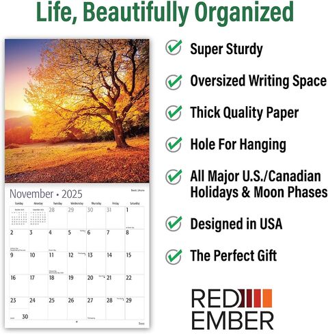 RED EMBER Trees Hangable Monthly 2025 Wall Calendar | 12" x 24" When Open | Thick & Sturdy Paper | Giftable | Beautiful Pathways Nature in Saudi Arabia
