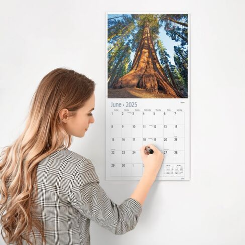 RED EMBER Trees Hangable Monthly 2025 Wall Calendar | 12" x 24" When Open | Thick & Sturdy Paper | Giftable | Beautiful Pathways Nature in Saudi Arabia