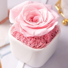Preserved Rose Flowers for Wife Birthday Gifts for Women Home Flower Decor Centerpieces for Dining Table Decorations(PR-Pink)