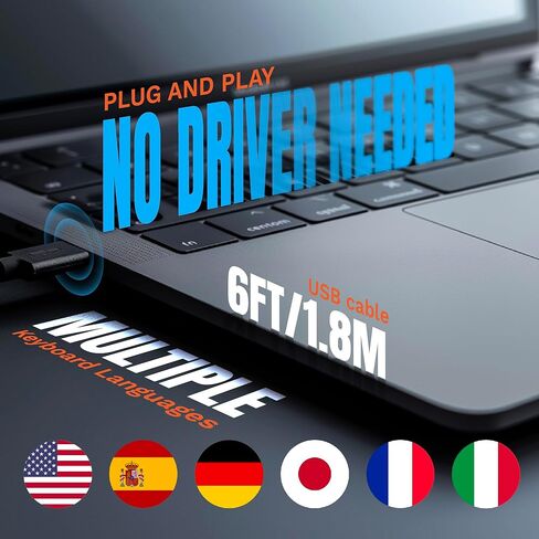 ماسح الباركود Tera متعدد الاتجاهات: الإصدار الاحترافي لسطح المكتب 1D 2D QR USB سلكي قابل للتعديل بزاوية التوصيل والتشغيل قارئ الرمز الشريطي لنقاط البيع سوبر ماركت متجر بيع بالتجزئة الدفع عبر الهاتف المحمول 9800 أبيض in Kuwait