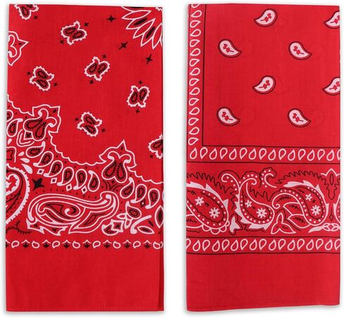 4 Pack Types of Paisley Pattern Bandanas, 22x22 Inches Cotton Bandanas Handkerchief Face Mask for Men & Women in Saudi Arabia