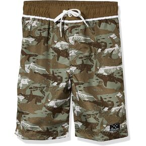 Big Chill Boys' Printed Swim Trunks