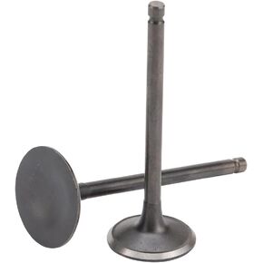WOOSTAR Cylinder Head Intake Exhaust Valves Replacement for Helix CN250 Elite CH250 BMS TBX260 Linhai Aeolis 260 Water Cooled ATV Go Kart Scooter