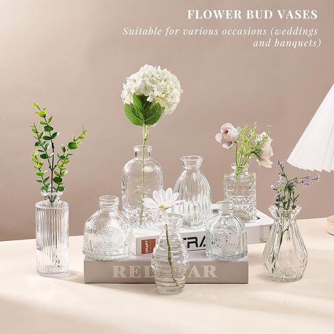 مجموعة مزهرية زجاجية مكونة من 15 قطعة، مزهرية صغيرة للزهور، زجاجات شفافة عتيقة لطيفة لديكور المنزل، مزهريات صغيرة للقطع المركزية، ديكورات الزفاف الريفية، تزيين الطاولة in Kuwait