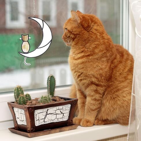 Orange Tabby Cat Decor On White Moon Stained Glass Window Black Cat Decor Suncatcher Hanging Ornament Gift for Mom Cat Memorial Gifts for Cat Lovers Pet Loss Sympathy Gift D3-YLSDMDS (Sit) in Saudi Arabia