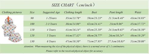 Suealasg Boys shorts set dinosaur print top hooded short sleeve t-shirt toddler Elastic Waist Shorts summer 2Pcs outfits 1-6T in Saudi Arabia
