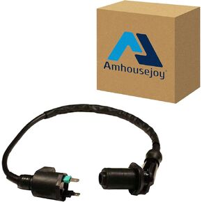 Amhousejoy Ignition Coil for 150cc 250cc Hammerhead Carter Joyner Scooter Moped Go Kart Dune Buggy
